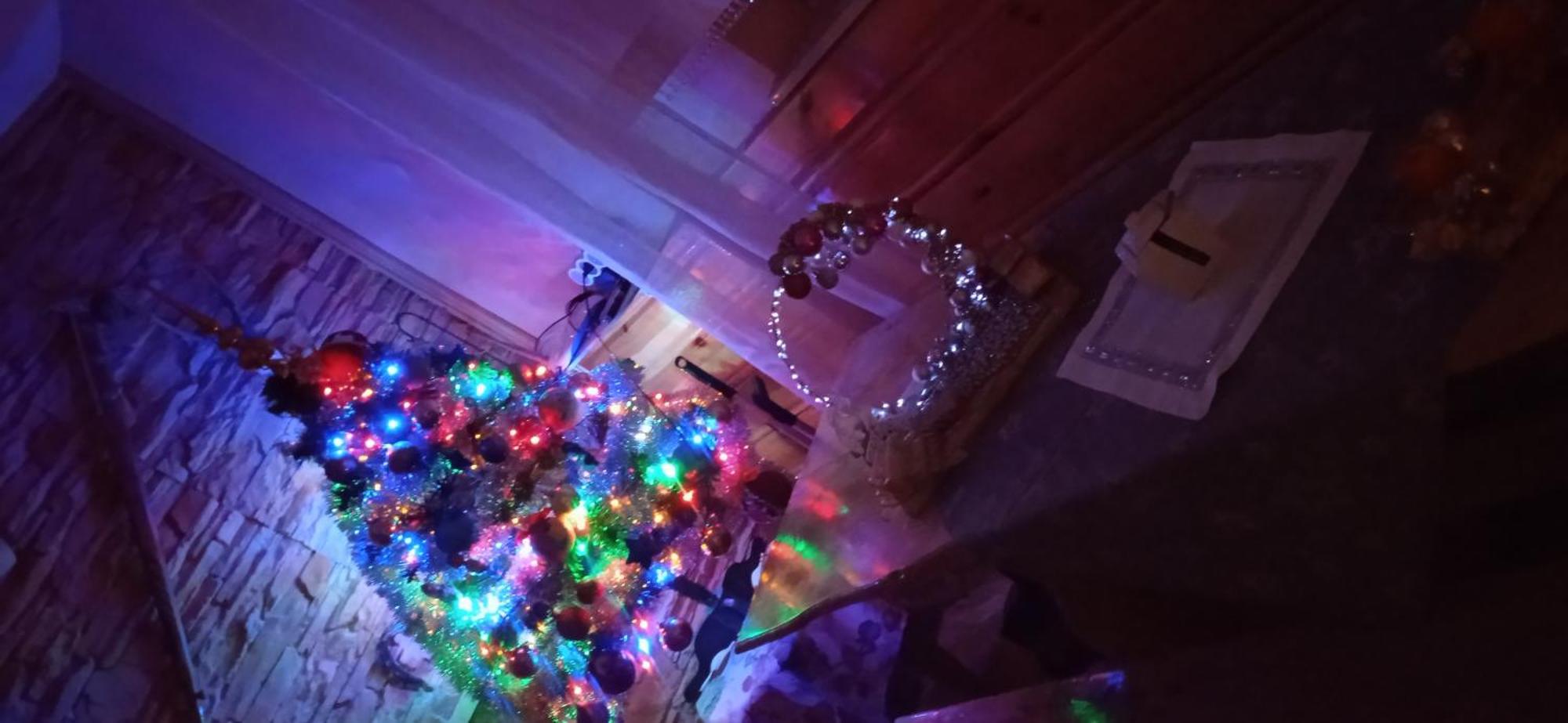 Amico Groń Quarto foto